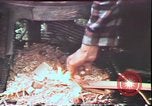 Image of Birch tree Canoe United States USA, 1975, second 60 stock footage video 65675022754