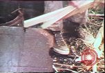 Image of Birch tree Canoe United States USA, 1975, second 61 stock footage video 65675022754