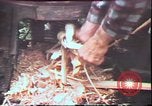 Image of Birch tree Canoe United States USA, 1975, second 62 stock footage video 65675022754