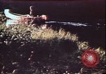 Image of Robert Parson United States USA, 1975, second 1 stock footage video 65675022755