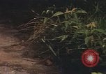 Image of 25th Infantry Division soldiers Vietnam Cu Chi, 1967, second 18 stock footage video 65675022780