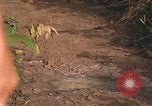 Image of 25th Infantry Division soldiers Vietnam Cu Chi, 1967, second 24 stock footage video 65675022780