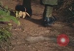 Image of 25th Infantry Division soldiers Vietnam Cu Chi, 1967, second 28 stock footage video 65675022780