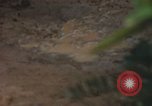 Image of 25th Infantry Division soldiers Vietnam Cu Chi, 1967, second 39 stock footage video 65675022780