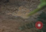Image of 25th Infantry Division soldiers Vietnam Cu Chi, 1967, second 40 stock footage video 65675022780