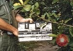 Image of 25th Infantry Division soldiers Vietnam Cu Chi, 1967, second 54 stock footage video 65675022780