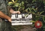 Image of 25th Infantry Division soldiers Vietnam Cu Chi, 1967, second 55 stock footage video 65675022780