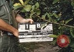 Image of 25th Infantry Division soldiers Vietnam Cu Chi, 1967, second 56 stock footage video 65675022780