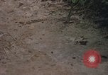Image of 25th Infantry Division soldiers Vietnam Cu Chi, 1967, second 59 stock footage video 65675022780