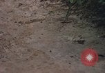 Image of 25th Infantry Division soldiers Vietnam Cu Chi, 1967, second 60 stock footage video 65675022780