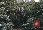 Image of 25th Infantry Division soldiers Vietnam Cu Chi, 1967, second 8 stock footage video 65675022783
