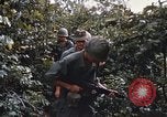 Image of 25th Infantry Division soldiers Vietnam Cu Chi, 1967, second 17 stock footage video 65675022783