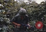 Image of 25th Infantry Division soldiers Vietnam Cu Chi, 1967, second 18 stock footage video 65675022783