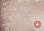 Image of 25th Infantry Division soldiers Vietnam Cu Chi, 1967, second 29 stock footage video 65675022783