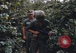 Image of 25th Infantry Division soldiers Vietnam Cu Chi, 1967, second 39 stock footage video 65675022783