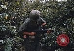 Image of 25th Infantry Division soldiers Vietnam Cu Chi, 1967, second 40 stock footage video 65675022783