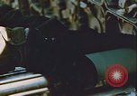 Image of F-89D Scorpion Greenland, 1954, second 40 stock footage video 65675022828