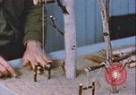 Standbild Arctic Survival Schule Ausbildung Labrador Neufundland Kanada, 1954, aus Sekunde 56 historischem Filmmaterial Videoclip 65675022832