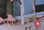 Standbild Arctic Survival Schule Ausbildung Labrador Neufundland Kanada, 1954, aus Sekunde 57 historischem Filmmaterial Videoclip 65675022832