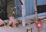 Standbild Arctic Survival Schule Ausbildung Labrador Neufundland Kanada, 1954, aus Sekunde 59 historischem Filmmaterial Videoclip 65675022832