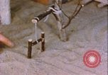Standbild Arctic Survival Schule Ausbildung Labrador Neufundland Kanada, 1954, aus Sekunde 60 historischem Filmmaterial Videoclip 65675022832