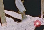 Standbild 549th AAA Bataillon Grönland, 1954, aus Sekunde 30 historischem Filmmaterial Videoclip 65675022833
