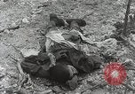 Image of 5th Marine Regiment Peleliu Palau Islands, 1944, second 31 stock footage video 65675022835