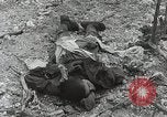 Image of 5th Marine Regiment Peleliu Palau Islands, 1944, second 32 stock footage video 65675022835