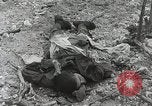 Image of 5th Marine Regiment Peleliu Palau Islands, 1944, second 33 stock footage video 65675022835
