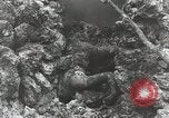 Image of 5th Marine Regiment Peleliu Palau Islands, 1944, second 41 stock footage video 65675022835