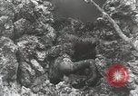 Image of 5th Marine Regiment Peleliu Palau Islands, 1944, second 43 stock footage video 65675022835
