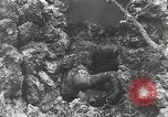 Image of 5th Marine Regiment Peleliu Palau Islands, 1944, second 44 stock footage video 65675022835