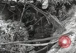 Image of 5th Marine Regiment Peleliu Palau Islands, 1944, second 50 stock footage video 65675022835