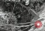 Image of 5th Marine Regiment Peleliu Palau Islands, 1944, second 51 stock footage video 65675022835