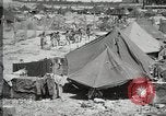 Image of 1st Marine Division Peleliu Palau Islands, 1944, second 35 stock footage video 65675022837