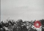 Standbild 1st Marine Division Peleliu Palau Inseln, 1944, aus Sekunde 42 historischem Filmmaterial Videoclip 65675022842