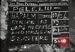 Standbild 1st Marine Division Peleliu Palau Inseln, 1944, aus Sekunde 1 historischem Filmmaterial Videoclip 65675022843