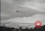 Standbild 1st Marine Division Peleliu Palau Inseln, 1944, aus Sekunde 19 historischem Filmmaterial Videoclip 65675022843