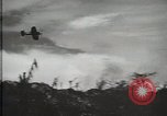 Standbild 1st Marine Division Peleliu Palau Inseln, 1944, aus Sekunde 24 historischem Filmmaterial Videoclip 65675022843