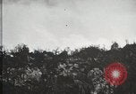 Standbild 1st Marine Division Peleliu Palau Inseln, 1944, aus Sekunde 53 historischem Filmmaterial Videoclip 65675022843