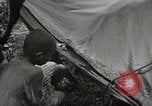 Image of 1st Marine Division Peleliu Palau Islands, 1944, second 13 stock footage video 65675022844