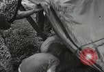 Image of 1st Marine Division Peleliu Palau Islands, 1944, second 14 stock footage video 65675022844