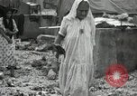 Image of 1st Marine Division Peleliu Palau Islands, 1944, second 32 stock footage video 65675022844