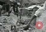 Image of 1st Marine Division Peleliu Palau Islands, 1944, second 34 stock footage video 65675022844