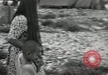 Image of 1st Marine Division Peleliu Palau Islands, 1944, second 47 stock footage video 65675022844