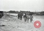 Image of 1st Marine Division Peleliu Palau Islands, 1944, second 55 stock footage video 65675022844