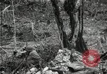 Image of 1st Marine Division Peleliu Palau Islands, 1944, second 28 stock footage video 65675022845