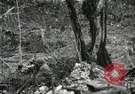 Image of 1st Marine Division Peleliu Palau Islands, 1944, second 29 stock footage video 65675022845