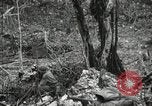 Image of 1st Marine Division Peleliu Palau Islands, 1944, second 30 stock footage video 65675022845