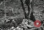 Image of 1st Marine Division Peleliu Palau Islands, 1944, second 31 stock footage video 65675022845